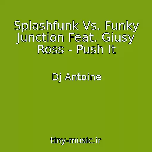 کاور آهنگ Splashfunk Vs. Funky Junction Feat. Giusy Ross - Push It از Dj Antoine