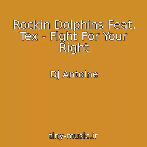 کاور آهنگ Rockin Dolphins Feat. Tex - Fight For Your Right از Dj Antoine