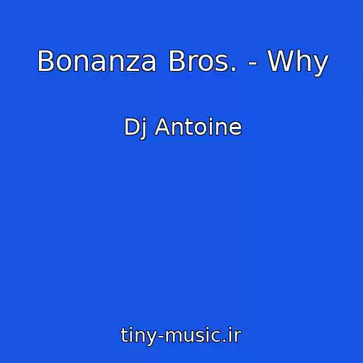 کاور آهنگ Bonanza Bros. - Why از Dj Antoine