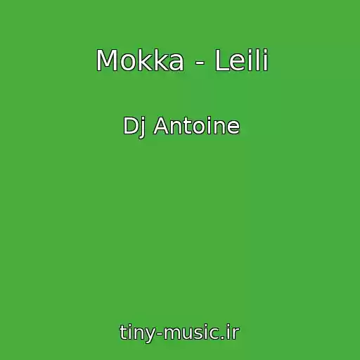 کاور آهنگ Mokka - Leili از Dj Antoine