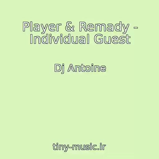 کاور آهنگ Player & Remady - Individual Guest از Dj Antoine