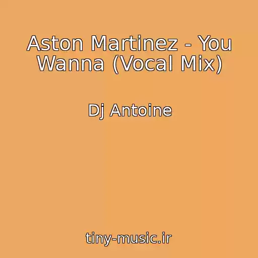 کاور آهنگ Aston Martinez - You Wanna (Vocal Mix) از Dj Antoine