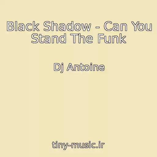 کاور آهنگ Black Shadow - Can You Stand The Funk از Dj Antoine
