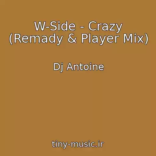 کاور آهنگ W-Side - Crazy (Remady & Player Mix) از Dj Antoine