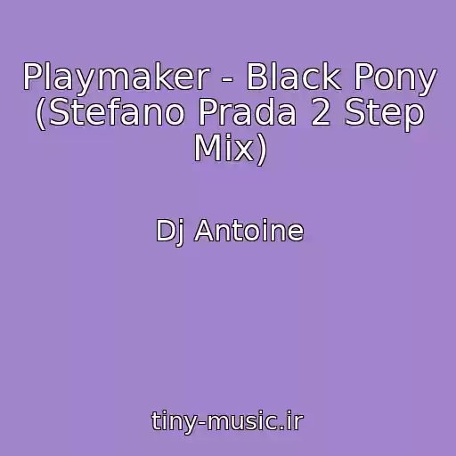 کاور آهنگ Playmaker - Black Pony (Stefano Prada 2 Step Mix) از Dj Antoine