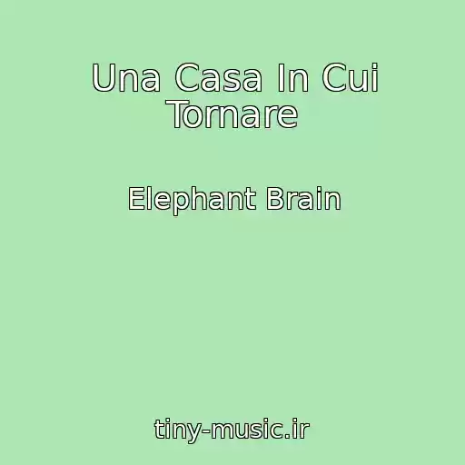 کاور آهنگ Una Casa In Cui Tornare از Elephant Brain