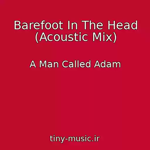 کاور آهنگ Barefoot In The Head (Acoustic Mix) از A Man Called Adam