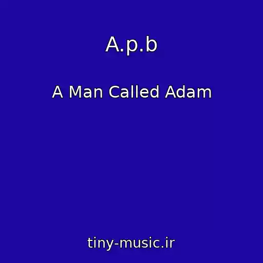 کاور آهنگ A.p.b از A Man Called Adam