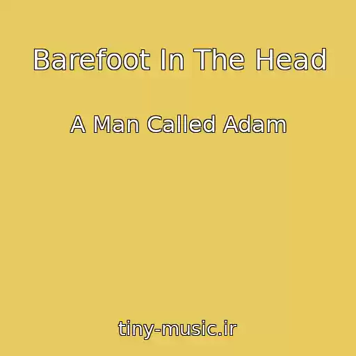 کاور آهنگ Barefoot In The Head از A Man Called Adam