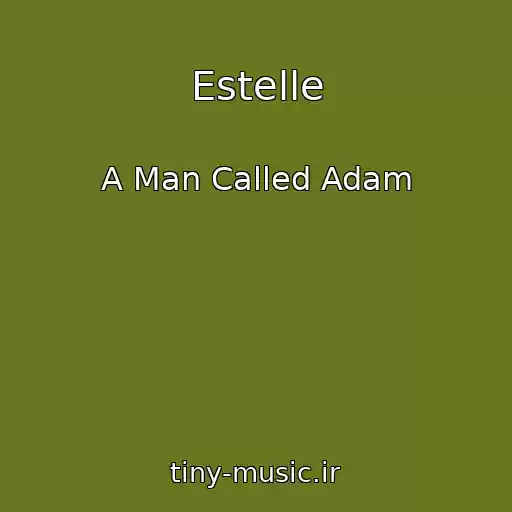 کاور آهنگ Estelle از A Man Called Adam