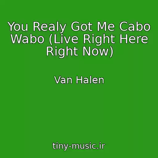 کاور آهنگ You Realy Got Me Cabo Wabo (Live Right Here Right Now) از Van Halen