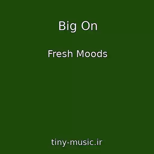 کاور آهنگ Big On از Fresh Moods