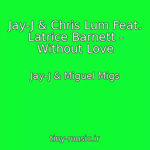 کاور آهنگ Jay-J & Chris Lum Feat. Latrice Barnett - Without Love از Jay-J & Miguel Migs