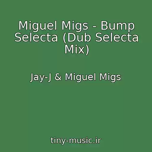 کاور آهنگ Miguel Migs - Bump Selecta (Dub Selecta Mix) از Jay-J & Miguel Migs