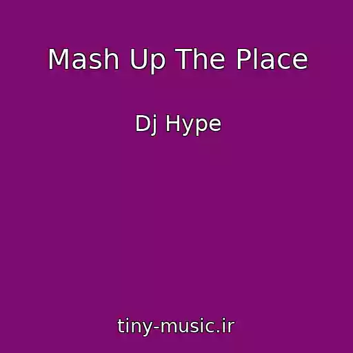 کاور آهنگ Mash Up The Place از Dj Hype