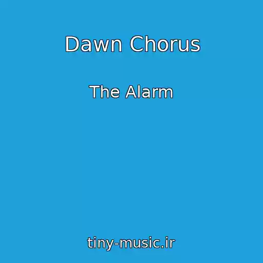 کاور آهنگ Dawn Chorus از The Alarm