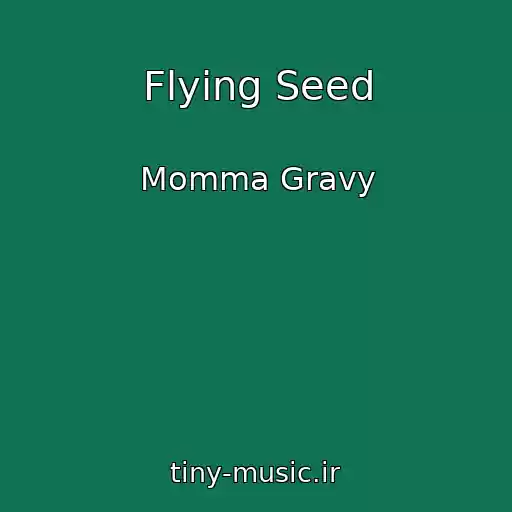 کاور آهنگ Flying Seed از Momma Gravy