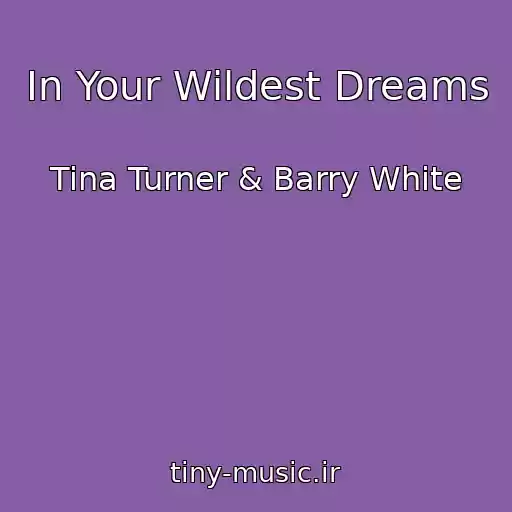 کاور آهنگ In Your Wildest Dreams از Tina Turner & Barry White