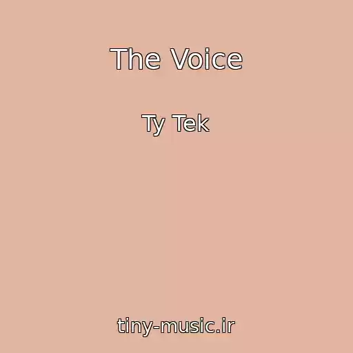 کاور آهنگ The Voice از Ty Tek