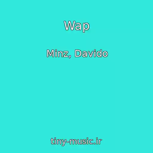 کاور آهنگ Wap از Minz, Davido
