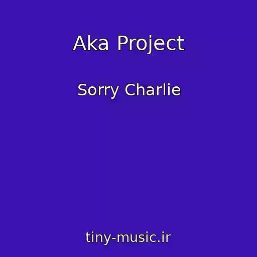 کاور آهنگ Aka Project از Sorry Charlie