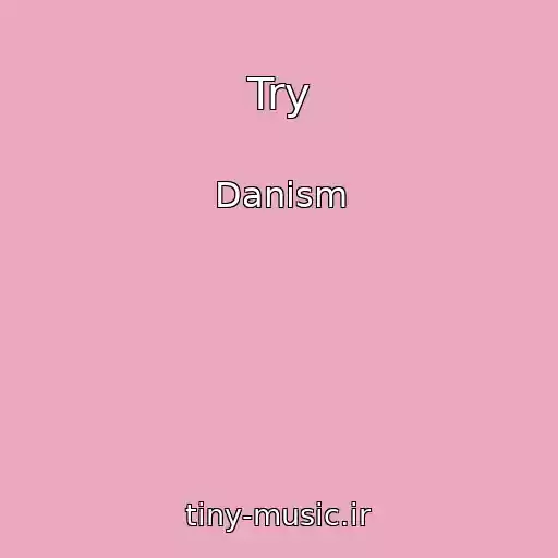 کاور آهنگ Try از Danism