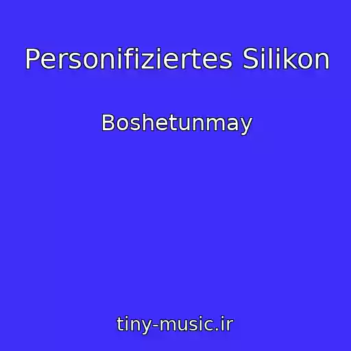 کاور آهنگ Personifiziertes Silikon از Boshetunmay