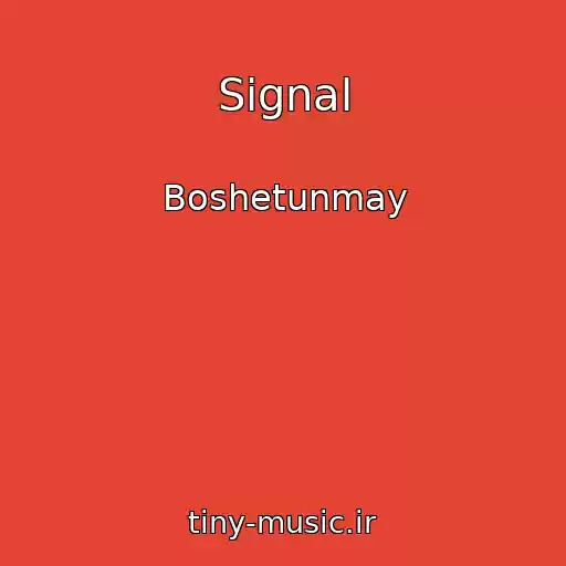 کاور آهنگ Signal از Boshetunmay