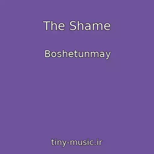 کاور آهنگ The Shame از Boshetunmay