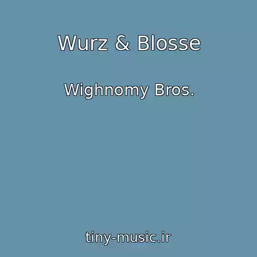 کاور آهنگ Wurz & Blosse از Wighnomy Bros.