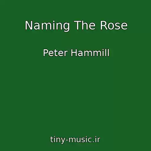 کاور آهنگ Naming The Rose از Peter Hammill