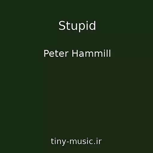 کاور آهنگ Stupid از Peter Hammill