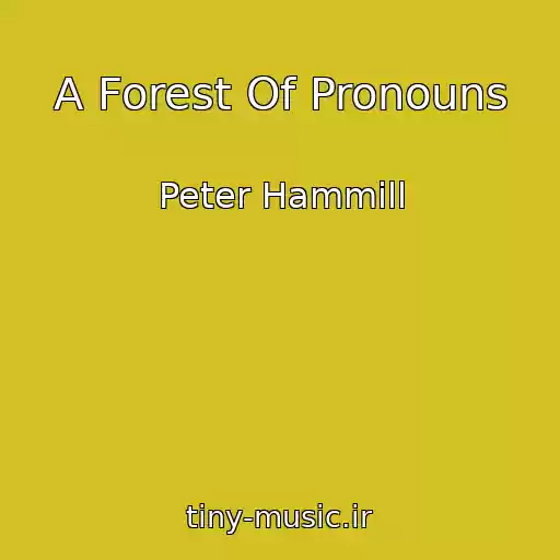 کاور آهنگ A Forest Of Pronouns از Peter Hammill