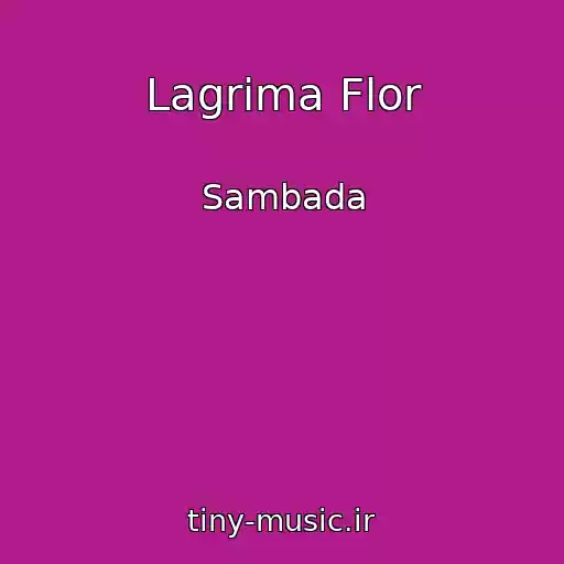 کاور آهنگ Lagrima Flor از Sambada