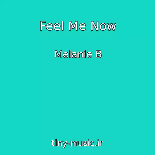 کاور آهنگ Feel Me Now از Melanie B