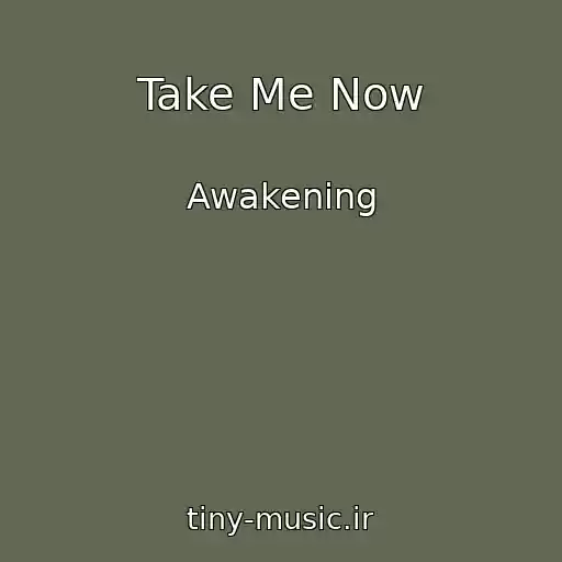 کاور آهنگ Take Me Now از Awakening