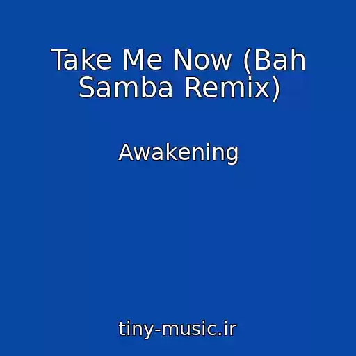 کاور آهنگ Take Me Now (Bah Samba Remix) از Awakening