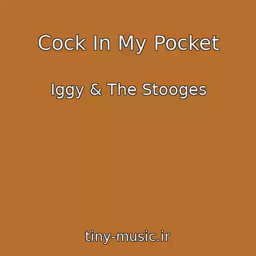 کاور آهنگ Cock In My Pocket از Iggy & The Stooges