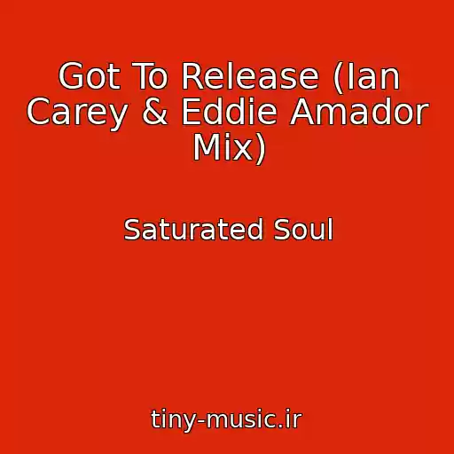 کاور آهنگ Got To Release (Ian Carey & Eddie Amador Mix) از Saturated Soul