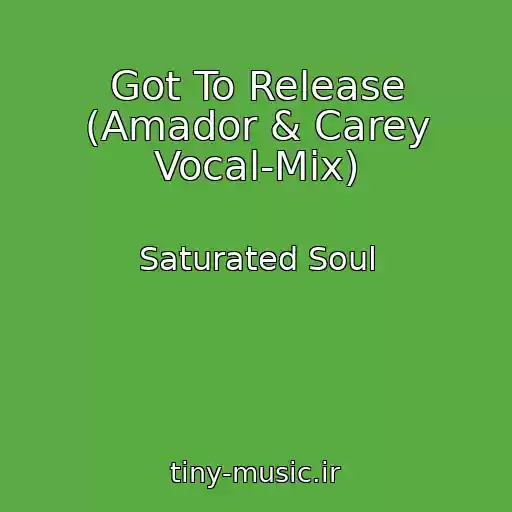 کاور آهنگ Got To Release (Amador & Carey Vocal-Mix) از Saturated Soul