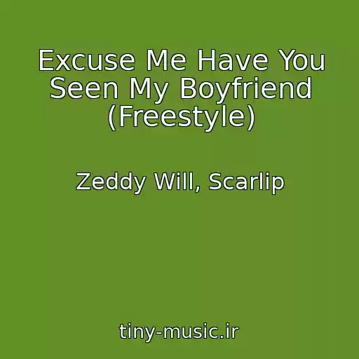 کاور آهنگ Excuse Me Have You Seen My Boyfriend (Freestyle) از Zeddy Will, Scarlip