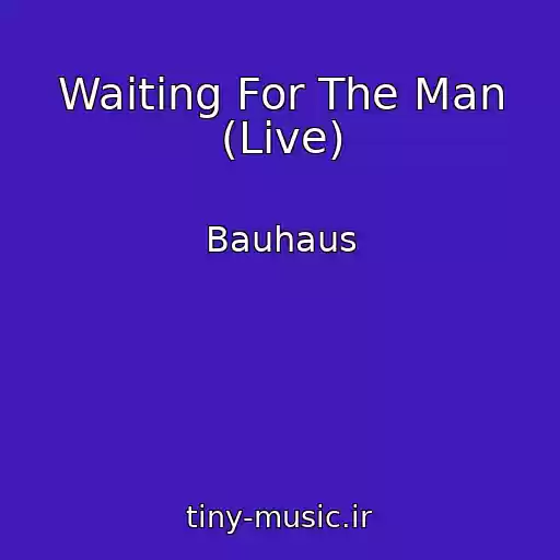 کاور آهنگ Waiting For The Man (Live) از Bauhaus