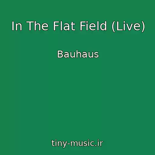 کاور آهنگ In The Flat Field (Live) از Bauhaus