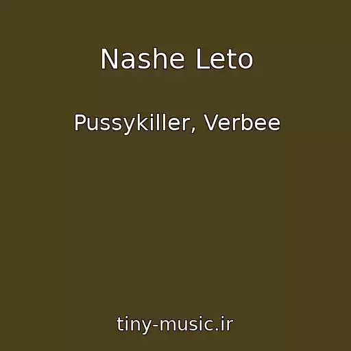 کاور آهنگ Nashe Leto از Pussykiller, Verbee