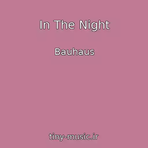 کاور آهنگ In The Night از Bauhaus