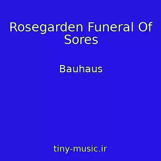 کاور آهنگ Rosegarden Funeral Of Sores از Bauhaus