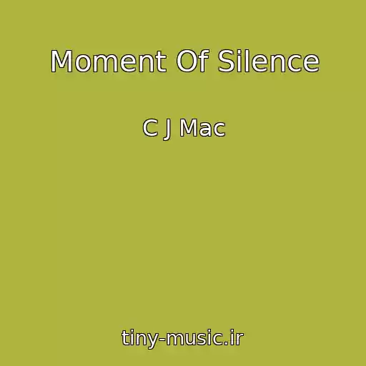 کاور آهنگ Moment Of Silence از C J Mac