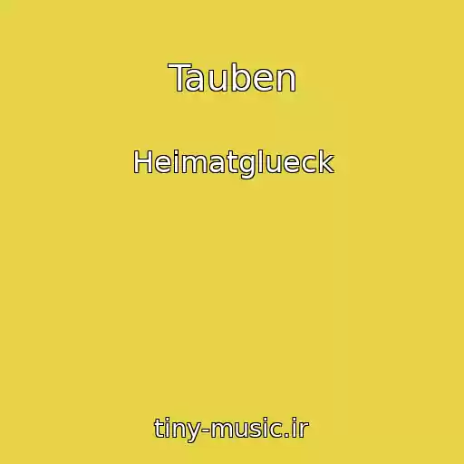 کاور آهنگ Tauben از Heimatglueck