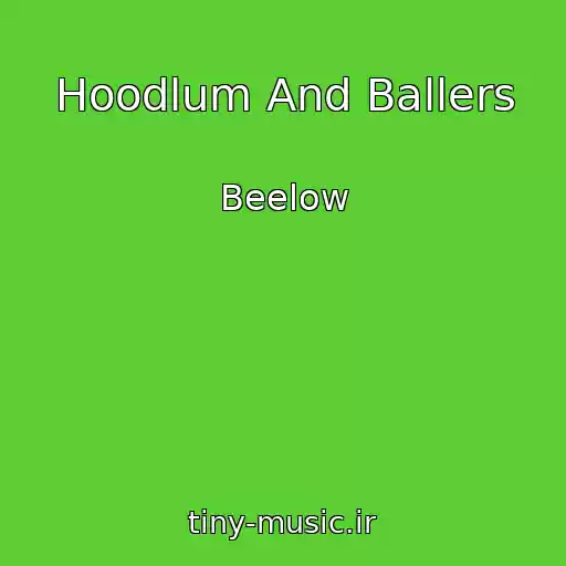کاور آهنگ Hoodlum And Ballers از Beelow