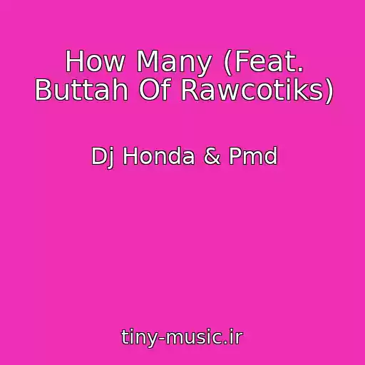کاور آهنگ How Many (Feat. Buttah Of Rawcotiks) از Dj Honda & Pmd